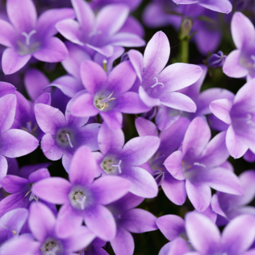 Set 4 Candele Profumate In Cera Di Soia - Aromaterapia Per Casa Regalo Donna - Foto 8